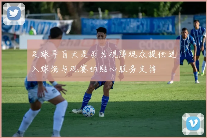 足球导盲犬是否为视障观众提供进入球场与观赛的贴心服务支持